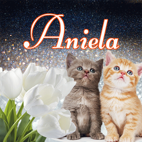 Miłego wieczoru i dobrej nocy życzę!。 