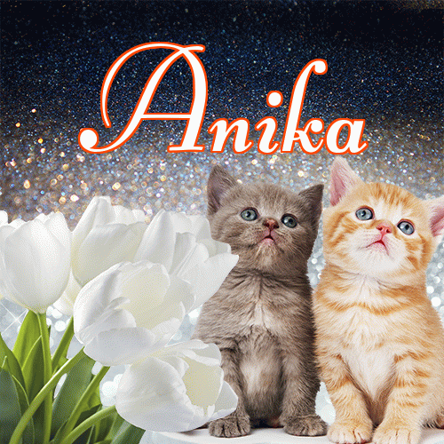 Miłego wieczoru i dobrej nocy życzę!。 