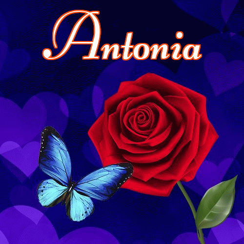 Miłego wieczoru i dobrej nocy życzę!。 