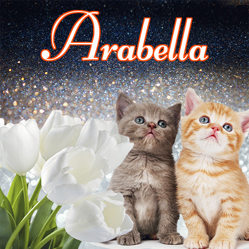 Miłego wieczoru i dobrej nocy życzę!。 