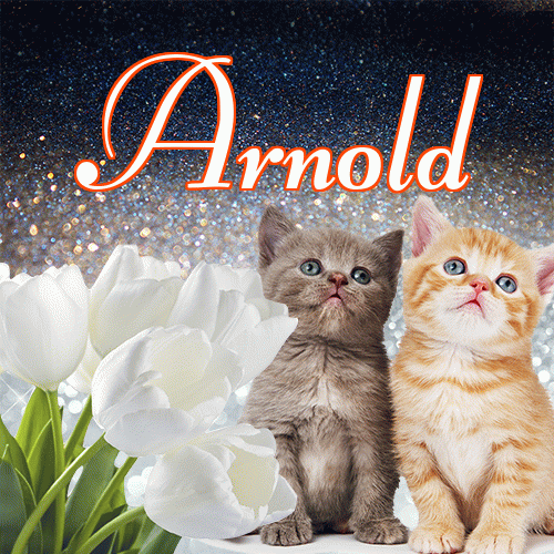 Miłego wieczoru i dobrej nocy życzę!。 