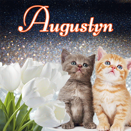 Miłego wieczoru i dobrej nocy życzę!。 