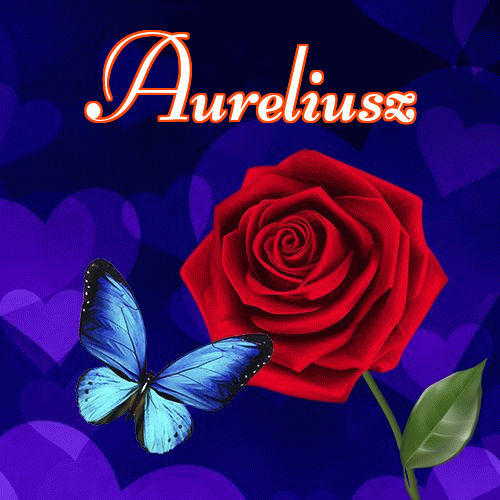 Miłego wieczoru i dobrej nocy życzę!。 