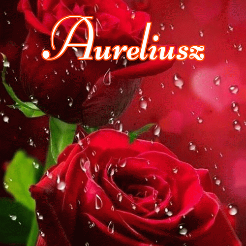 Miłego wieczoru i dobrej nocy życzę!。 