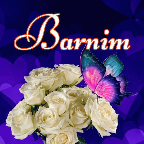 Miłego wieczoru i dobrej nocy życzę!。 