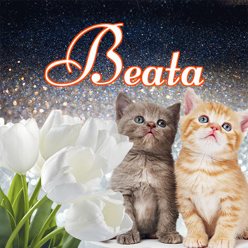 Miłego wieczoru i dobrej nocy życzę!。 