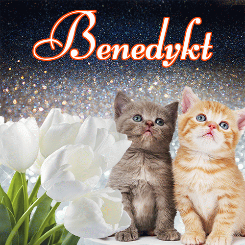 Miłego wieczoru i dobrej nocy życzę!。 