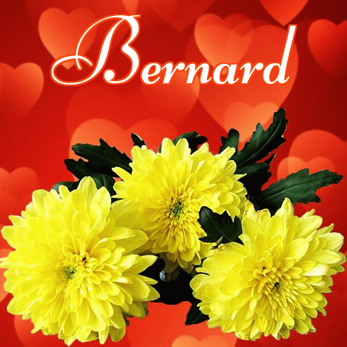 Miłego wieczoru i dobrej nocy życzę!。 