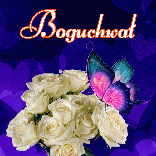 Miłego wieczoru i dobrej nocy życzę!。 