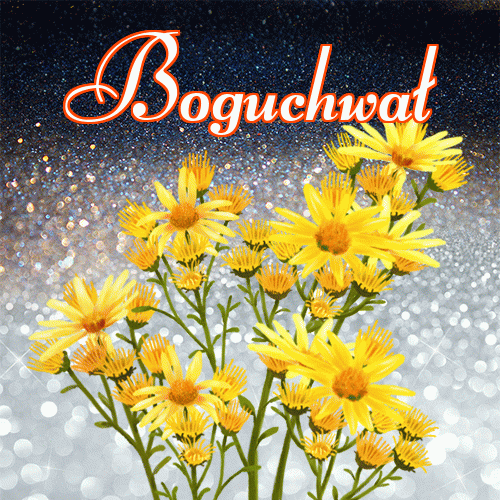 Miłego wieczoru i dobrej nocy życzę!。 