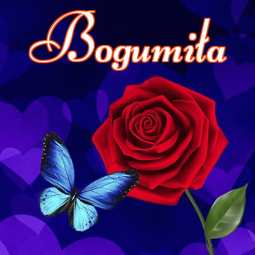 Miłego wieczoru i dobrej nocy życzę!。 