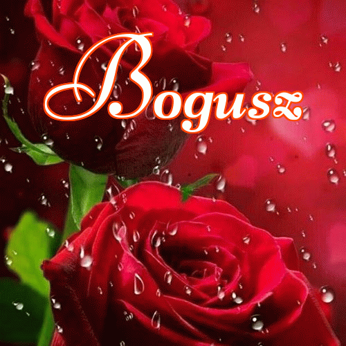 Miłego wieczoru i dobrej nocy życzę!。 