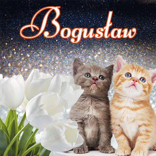 Miłego wieczoru i dobrej nocy życzę!。 