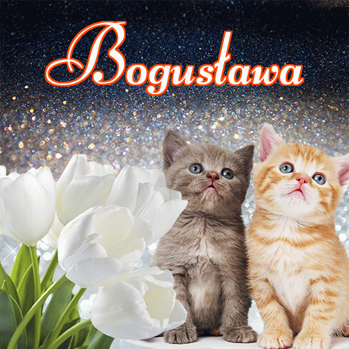 Miłego wieczoru i dobrej nocy życzę!。 