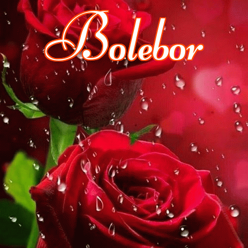 Miłego wieczoru i dobrej nocy życzę!。 