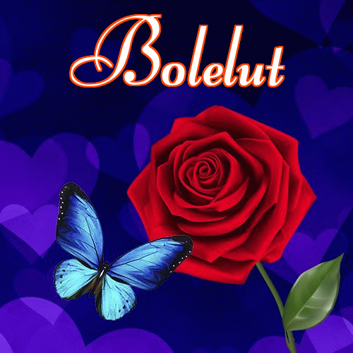 Miłego wieczoru i dobrej nocy życzę!。 