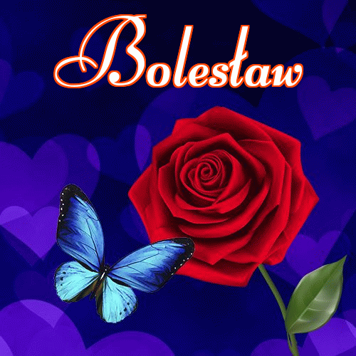 Miłego wieczoru i dobrej nocy życzę!。 