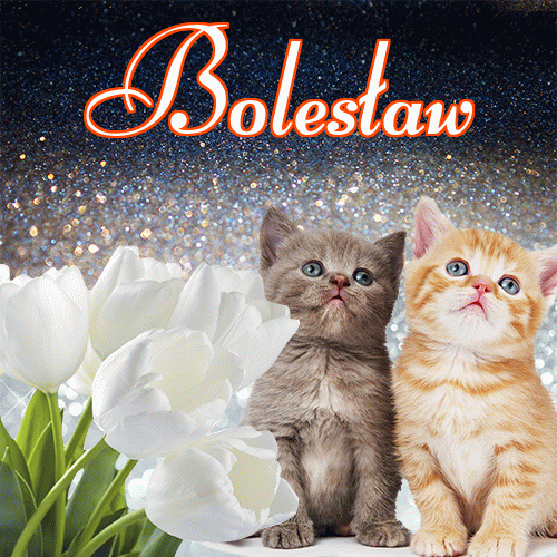 Miłego wieczoru i dobrej nocy życzę!。 