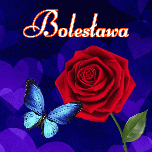 Miłego wieczoru i dobrej nocy życzę!。 