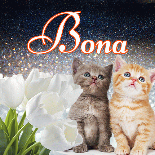 Miłego wieczoru i dobrej nocy życzę!。 