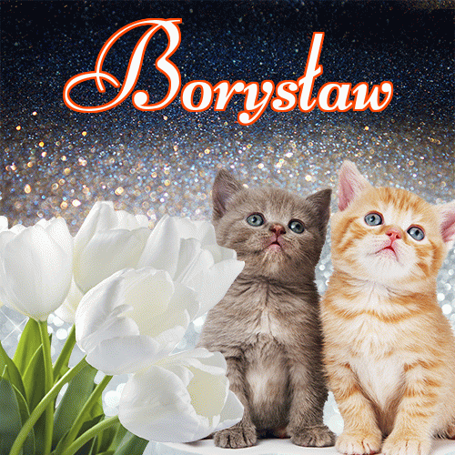 Miłego wieczoru i dobrej nocy życzę!。 