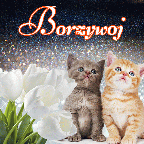 Miłego wieczoru i dobrej nocy życzę!。 