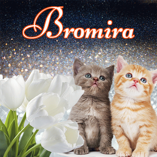 Miłego wieczoru i dobrej nocy życzę!。 