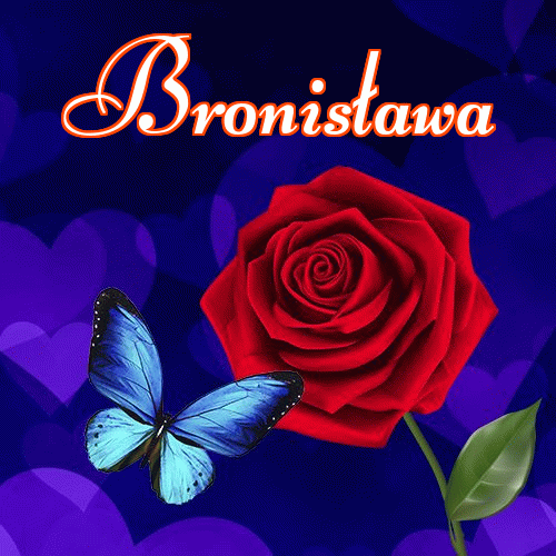 Miłego wieczoru i dobrej nocy życzę!。 