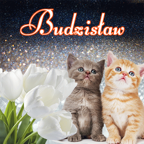 Miłego wieczoru i dobrej nocy życzę!。 