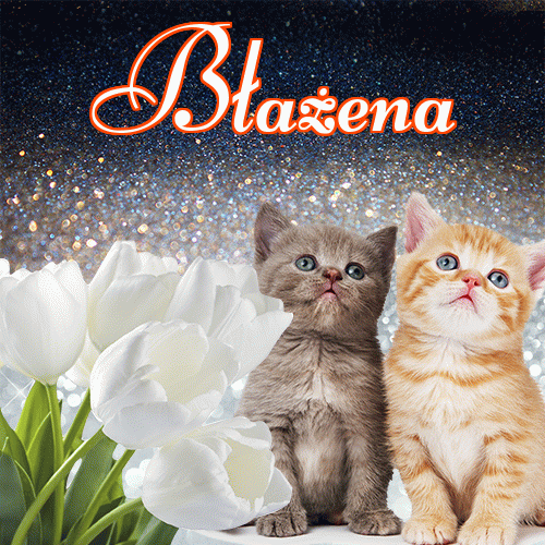 Miłego wieczoru i dobrej nocy życzę!。 