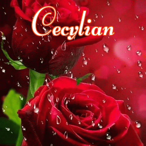 Miłego wieczoru i dobrej nocy życzę!。 