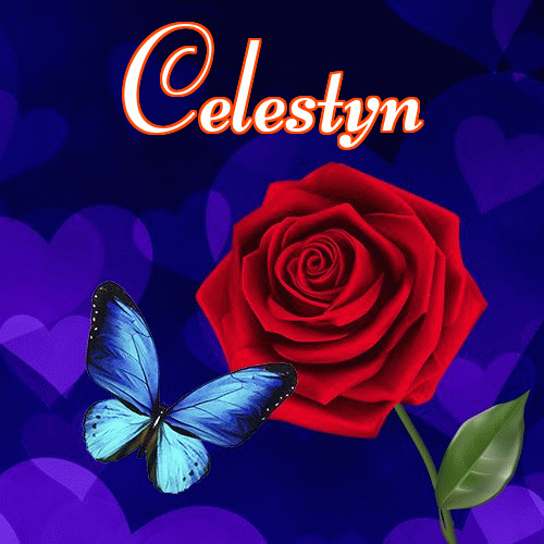 Miłego wieczoru i dobrej nocy życzę!。 