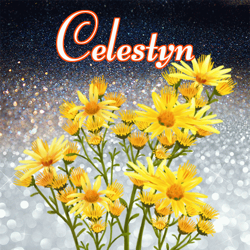 Miłego wieczoru i dobrej nocy życzę!。 