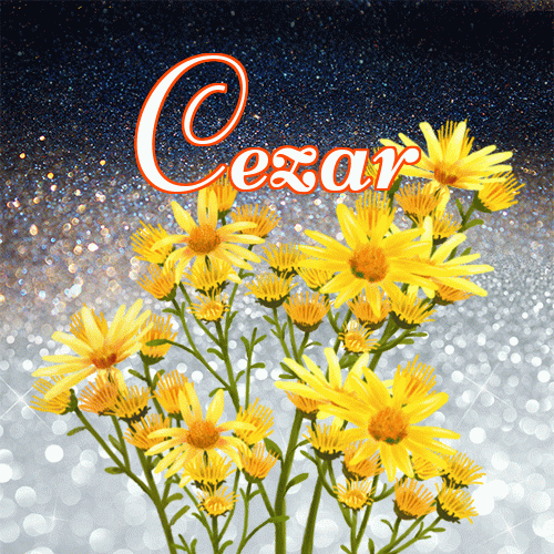 Miłego wieczoru i dobrej nocy życzę!。 