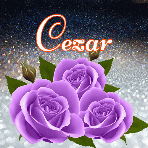 Miłego wieczoru i dobrej nocy życzę!。 