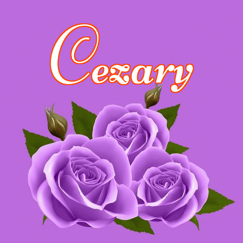 Miłego wieczoru i dobrej nocy życzę!。 