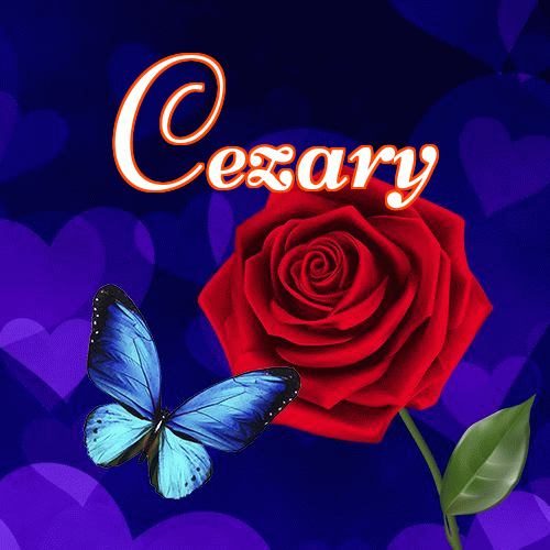 Miłego wieczoru i dobrej nocy życzę!。 