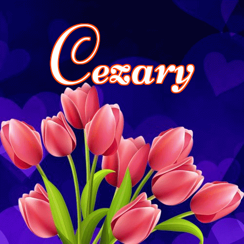 Miłego wieczoru i dobrej nocy życzę!。 