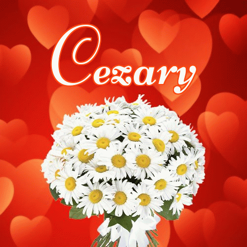 Miłego wieczoru i dobrej nocy życzę!。 