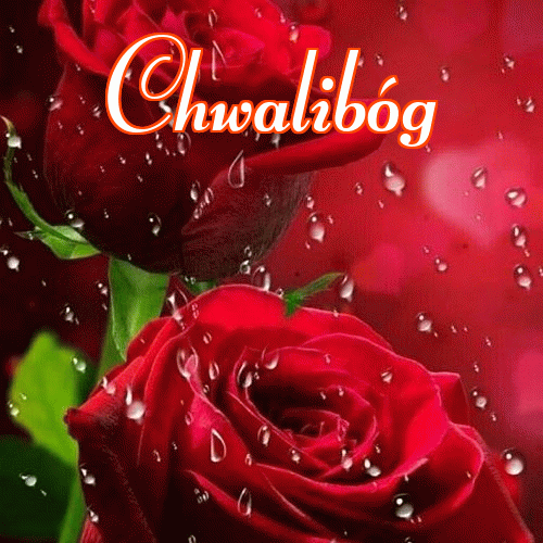 Miłego wieczoru i dobrej nocy życzę!。 