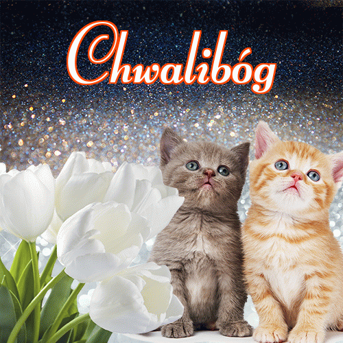 Miłego wieczoru i dobrej nocy życzę!。 