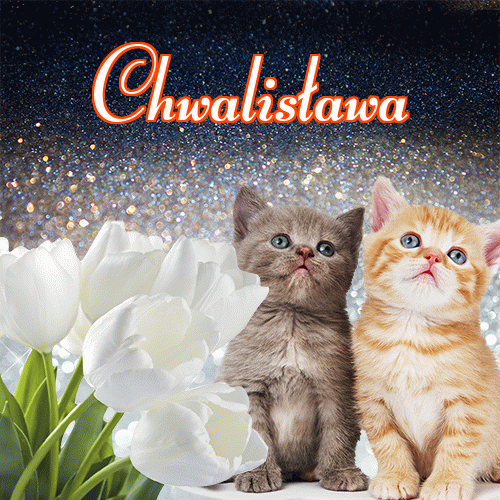 Miłego wieczoru i dobrej nocy życzę!。 