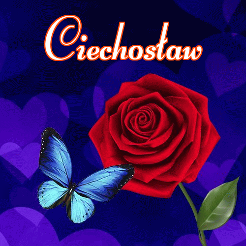 Miłego wieczoru i dobrej nocy życzę!。 