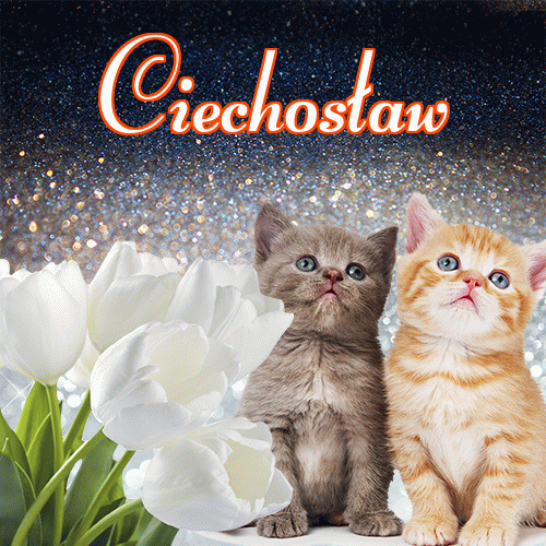 Miłego wieczoru i dobrej nocy życzę!。 