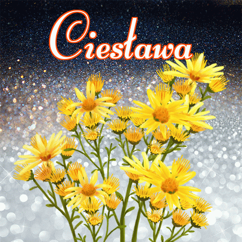 Miłego wieczoru i dobrej nocy życzę!。 