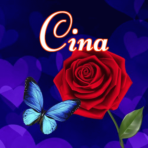 Miłego wieczoru i dobrej nocy życzę!。 