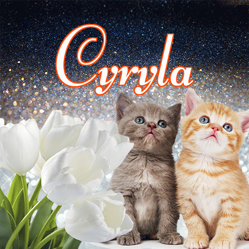 Miłego wieczoru i dobrej nocy życzę!。 