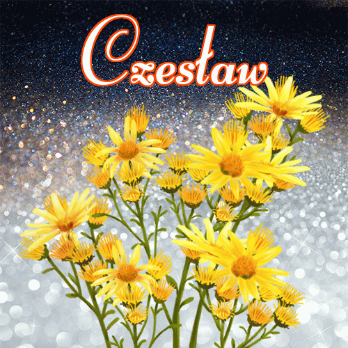 Miłego wieczoru i dobrej nocy życzę!。 