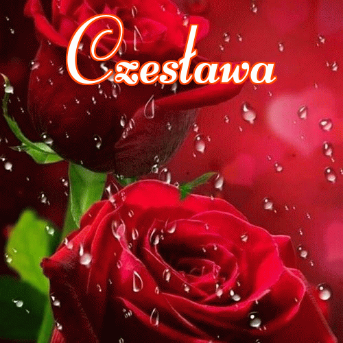 Miłego wieczoru i dobrej nocy życzę!。 