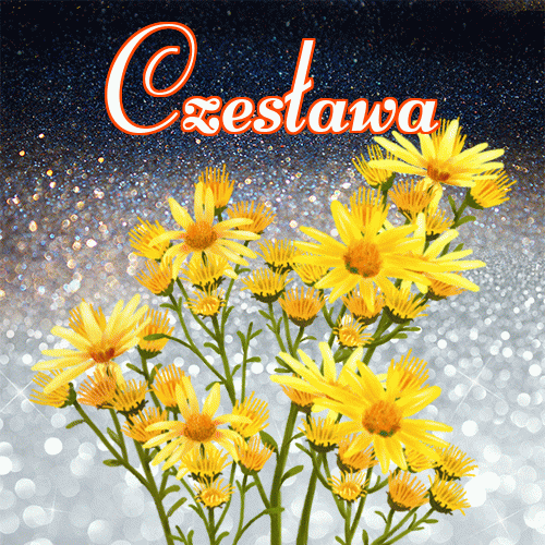 Miłego wieczoru i dobrej nocy życzę!。 